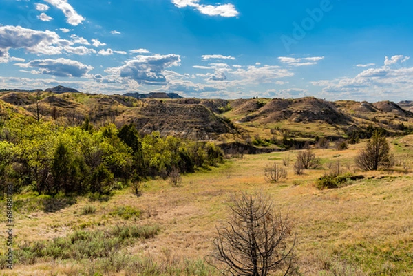 Obraz landscape with sky