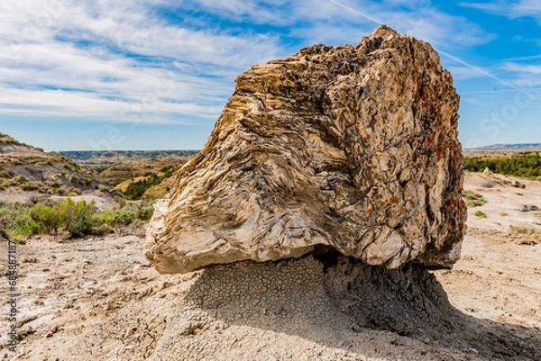 Obraz Petrified Stump