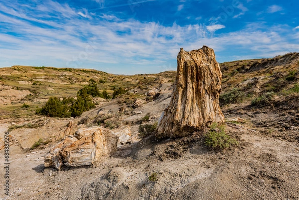 Obraz Petrified Trees