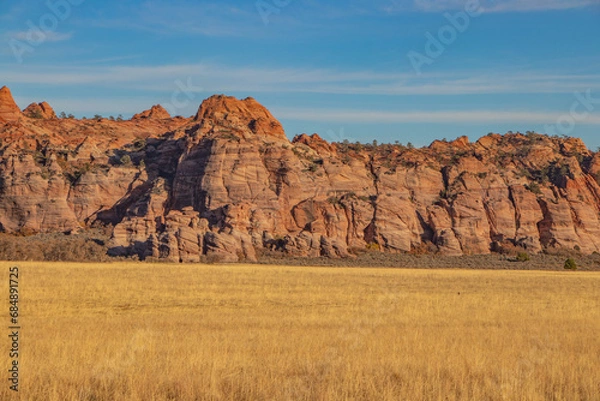 Fototapeta Red rock canyon and field