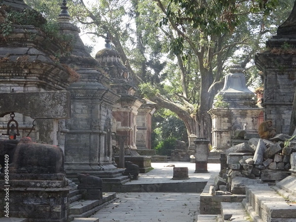 Obraz 世界遺産パシュパティナート　カトマンズ・ネパール　पशुपतिनाथ मन्दिर, Pashupatinath Temple, Katmandu, Nepal