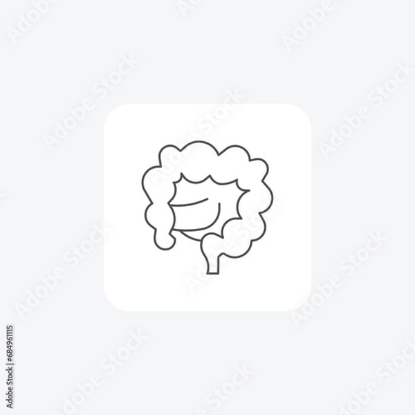 Fototapeta Large Intestine , Digestive Tract, Medical Icon thin line icon, grey outline icon, pixel perfect icon