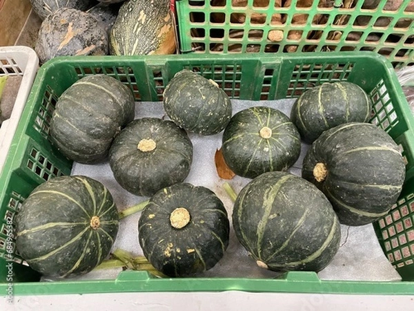 Obraz 採れたてのかぼちゃの写真