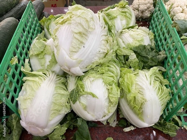 Obraz 白菜の写真