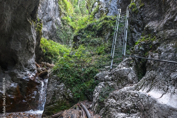 Obraz Seven Ladders Canyon (Canionul Sapte Scari), Brasov County, Romania
