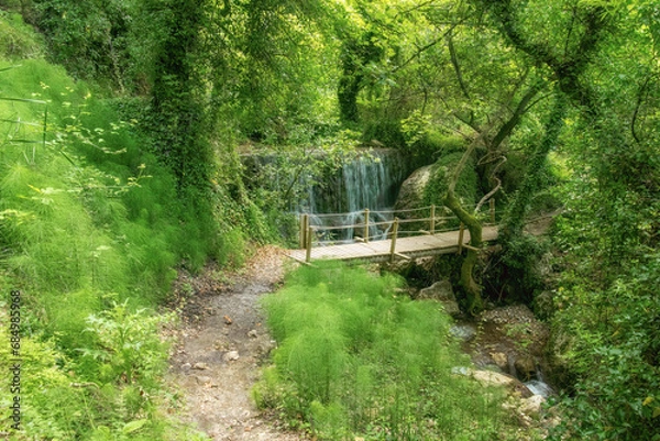 Obraz Stone muddy path to a waterfall in a lush green forest. The waterfall is partially hidden by trees and foliage, flows over a rock wall and is surrounded by greenery. 
