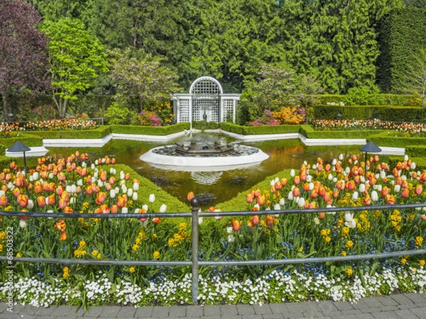 Obraz Fountain in Butchart Gardens