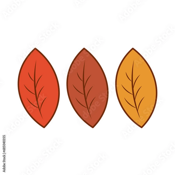 Fototapeta 낙엽 단풍