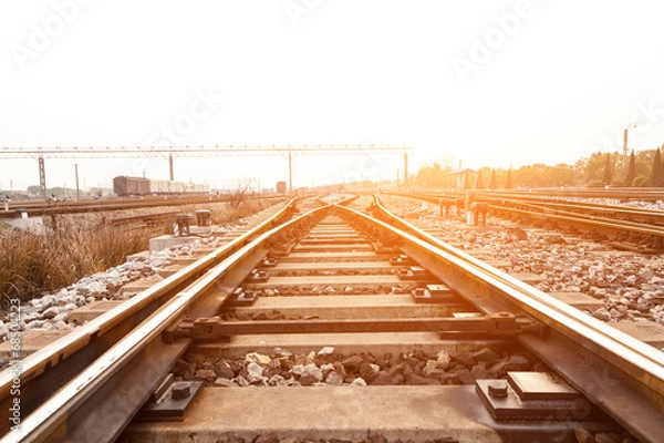 Obraz Cargo train platform at sunset with container