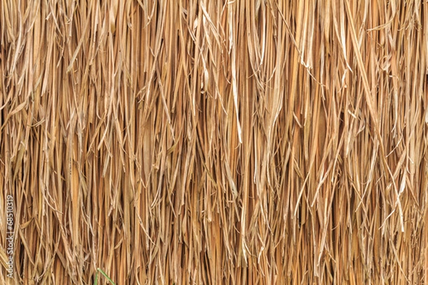 Obraz thatch roof