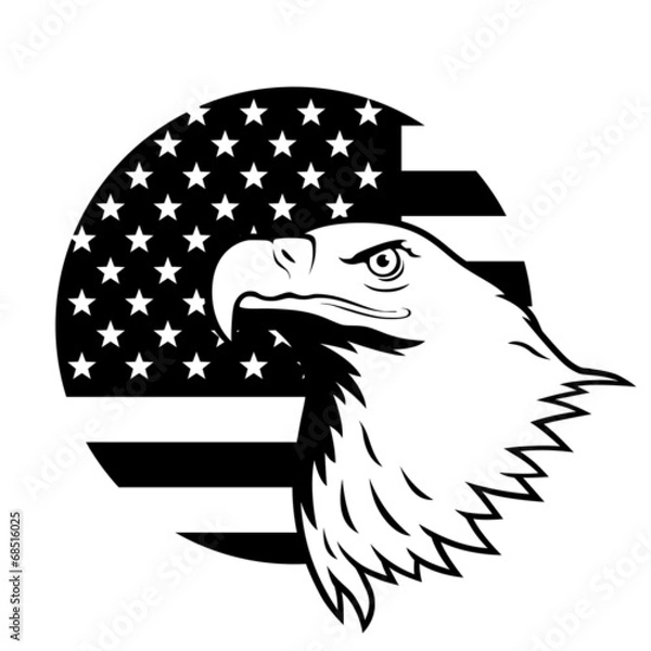 Obraz American eagle against USA flag background.
