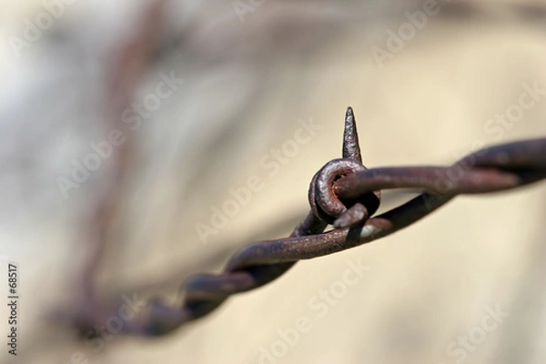 Fototapeta barbed wire abstract
