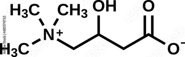 Fototapeta Levocarnitine structural formula, vector illustration