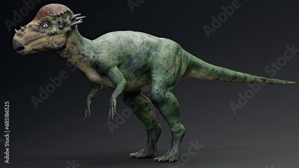 Fototapeta Pachycephalosaurus render of background. 3d rendering