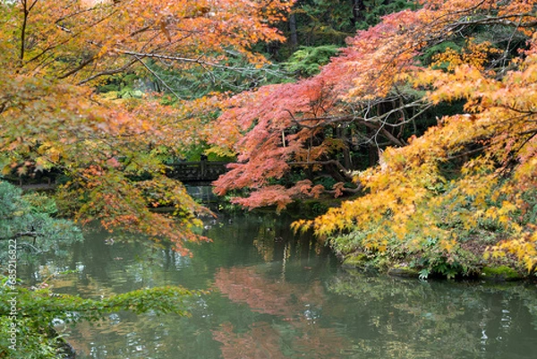 Obraz 成田山の紅葉