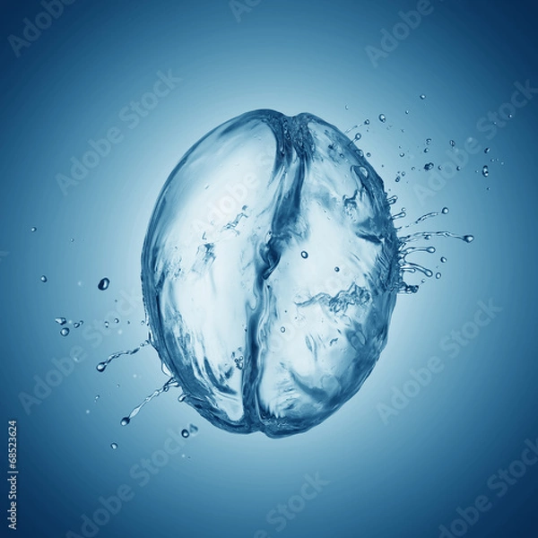 Obraz Coffee bean make from water splash