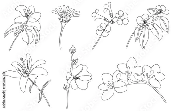 Fototapeta Flowers isolated on white illustration collection. Wildflowers for background. Abstract botanical art. Simple minimalist art set. Continuous line drawing set.