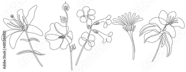 Fototapeta Flowers isolated on white illustration collection. Wildflowers for background. Abstract botanical art. Simple minimalist art set. Continuous line drawing set.