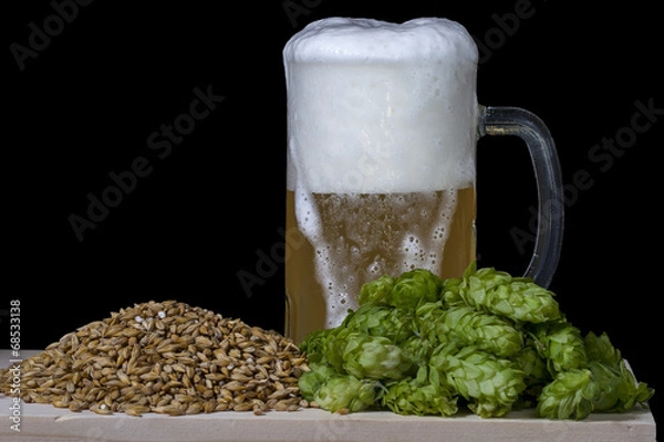 Obraz malt hops and beer