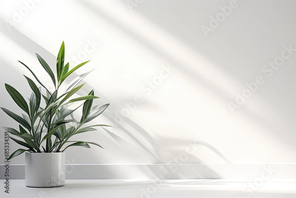 Fototapeta Minimalistic light background with blurred foliage shadow on a white wall. Beautiful background for presentation with marble floor.