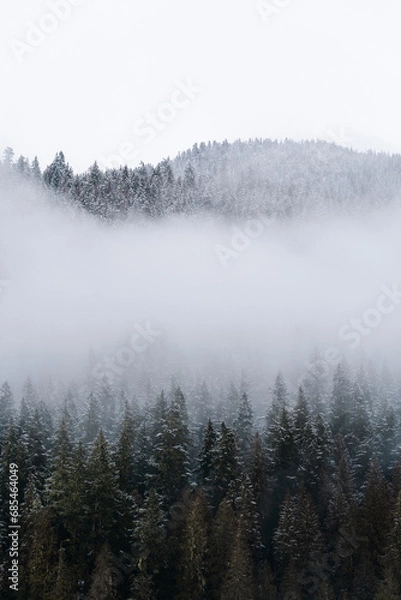 Obraz Cloudy winter day at Mt Baker with frosted trees in forest 