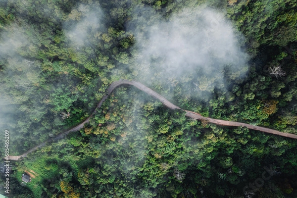 Fototapeta Forest road and morning fog, high angle