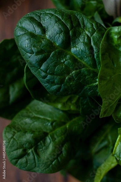 Obraz Fresh Spinach
