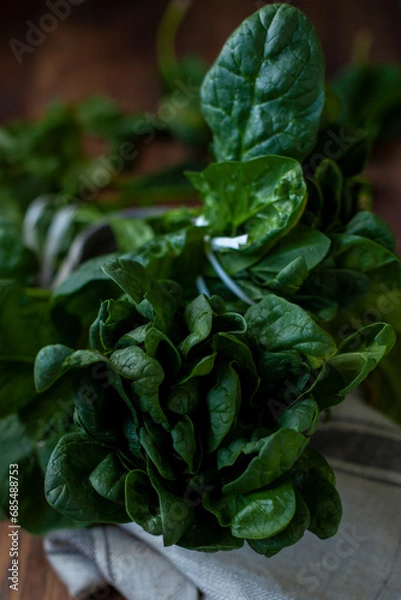 Obraz Fresh Spinach 