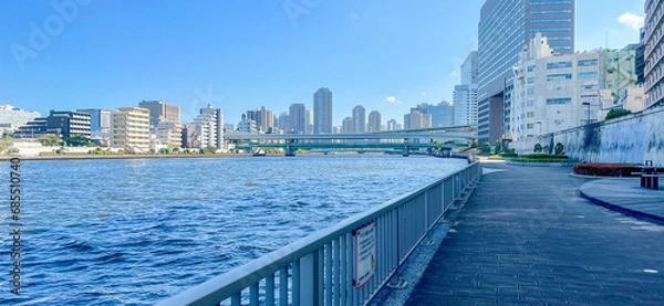 Fototapeta 隅田川沿いの遊歩道