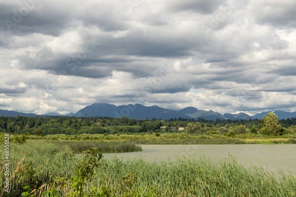Fototapeta Marsh By Vancouver