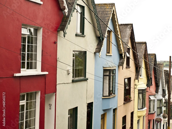 Obraz OLYMPUS DIGITAL CAMERA