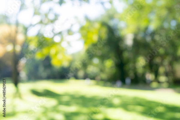 Fototapeta Defocused or blur with bokeh background of garden trees in sunny day