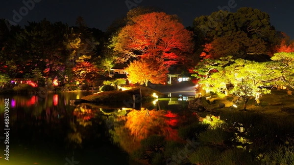 Obraz 岡山後楽園ライトアップ12