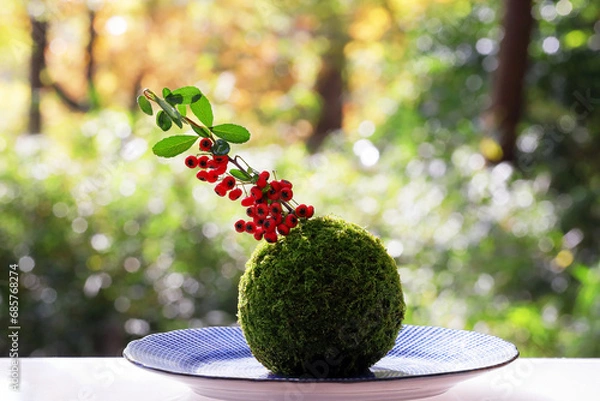 Fototapeta 秋の庭に緑の苔玉と赤い南天の
実