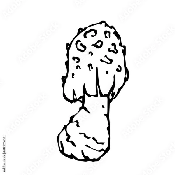 Fototapeta Linear sketch,doodle of forest mushroom fly agaric.Vector decorative element.