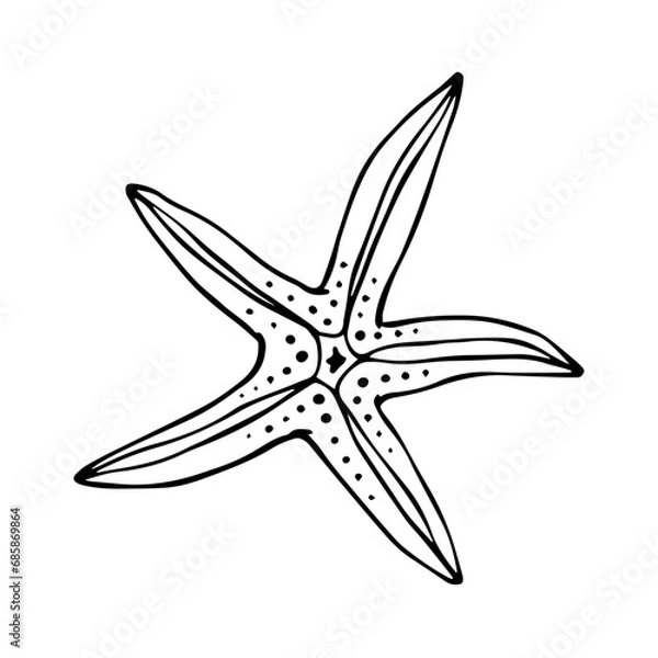 Fototapeta Line sketch, starfish doodle. Decorative vector element.