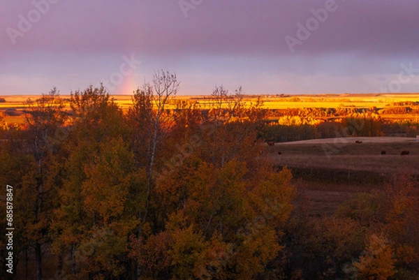 Obraz Sunrise with rainbow over the prairies