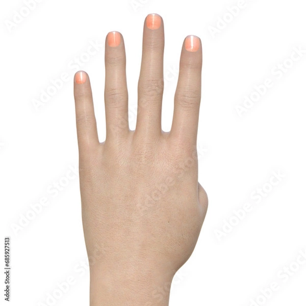 Fototapeta パーツモデル  4本指を立てた女性の手の甲の3Dイラスト