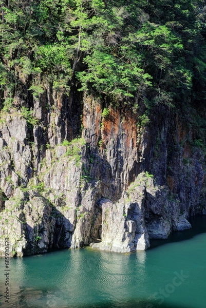 Fototapeta 新緑の瀞峡