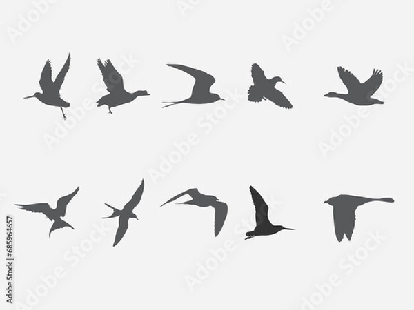 Fototapeta flying arctic tundra bird vector silhouette .jaeger bird black shadow illustration 