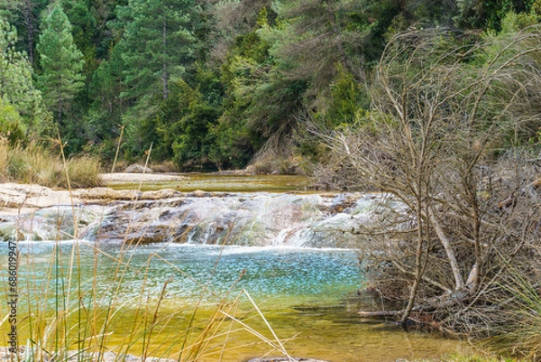 Fototapeta waterfall in the forest