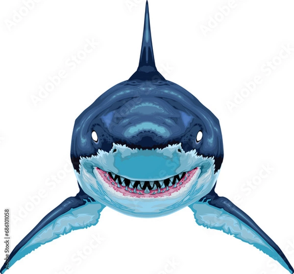 Fototapeta Shark, vector isolated animal.