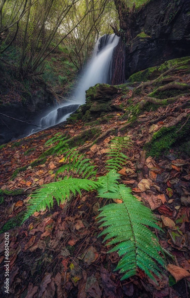 Obraz WATERFALL AND FERN