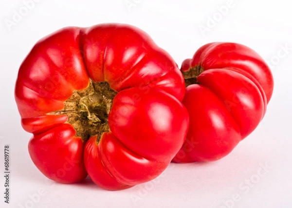 Fototapeta Ugly tomatos