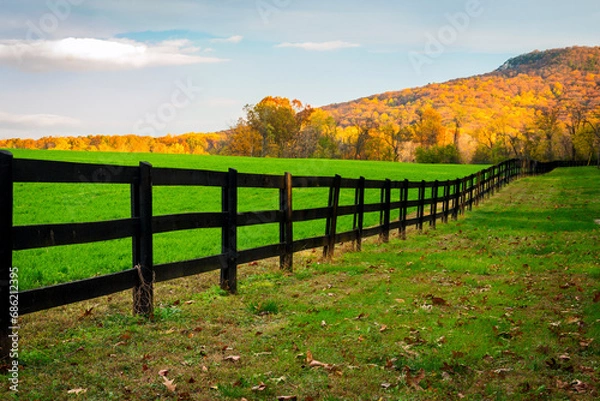 Fototapeta Sunlight shines on Sugarloaf Mountain behind a field of green grass lined by a long wooden fence.