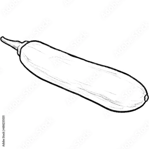 Fototapeta zucchini isolated on white background