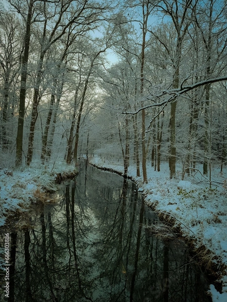 Fototapeta river in winter