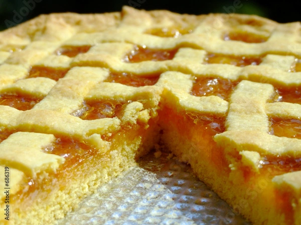 Obraz apricot marmalade tart