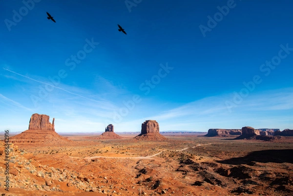 Fototapeta Black crows in Monument Valley