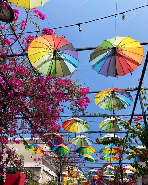 Obraz Celebration Umbrellas